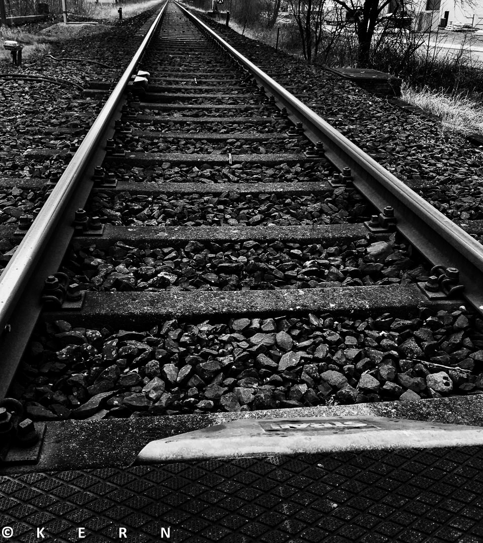 Entlang am Diemelradweg 2019