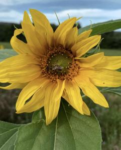 Rhoden und Umgebung 2020