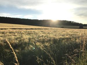 Rhoden und Umgebung 2020