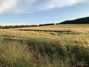 Rhoden und Umgebung 2020