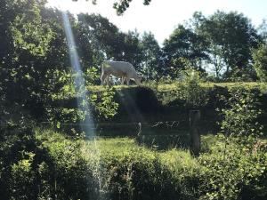 Rhoden und Umgebung 2020