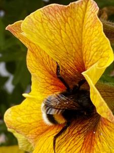 Rhoden und Umgebung 2020