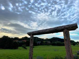 Rhoden und Umgebung 2020