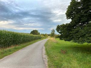 Rhoden und Umgebung 2020