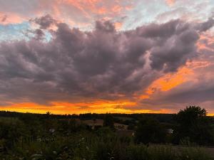 Rhoden und Umgebung 2020