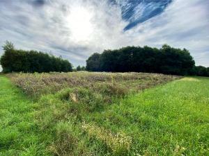 Rhoden und Umgebung 2020