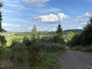 Rhoden und Umgebung 2020