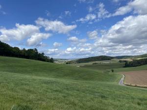 Rhoden und Umgebung 2020