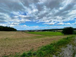 Rhoden und Umgebung 2020