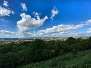 Rhoden und Umgebung 2020