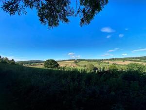 Rhoden und Umgebung 2020