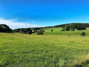 Rhoden und Umgebung 2020