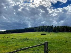 Rhoden und Umgebung 2020