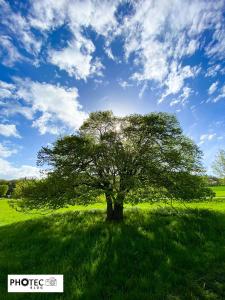 Rhoden im Mai - 2. Teil