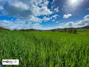 Rhoden im Mai - 2. Teil